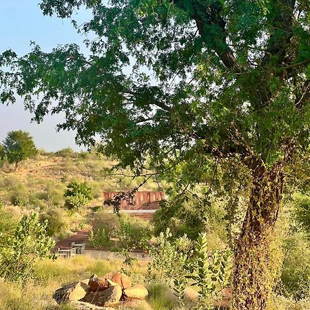 Shaitrāwa Kaner Retreat - India'S First Desert Botanical Resort מראה חיצוני תמונה