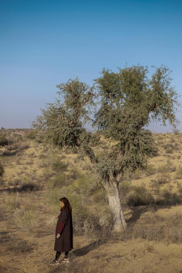 Shaitrāwa Kaner Retreat - India'S First Desert Botanical Resort מראה חיצוני תמונה