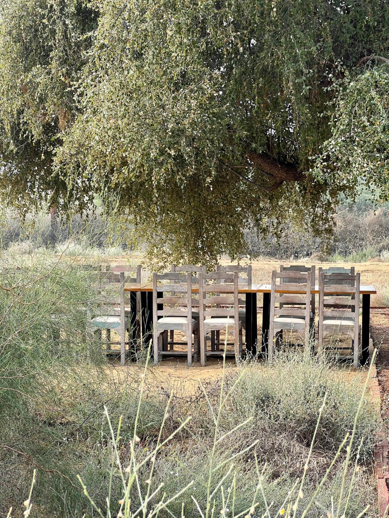 Shaitrāwa Kaner Retreat - India'S First Desert Botanical Resort מראה חיצוני תמונה