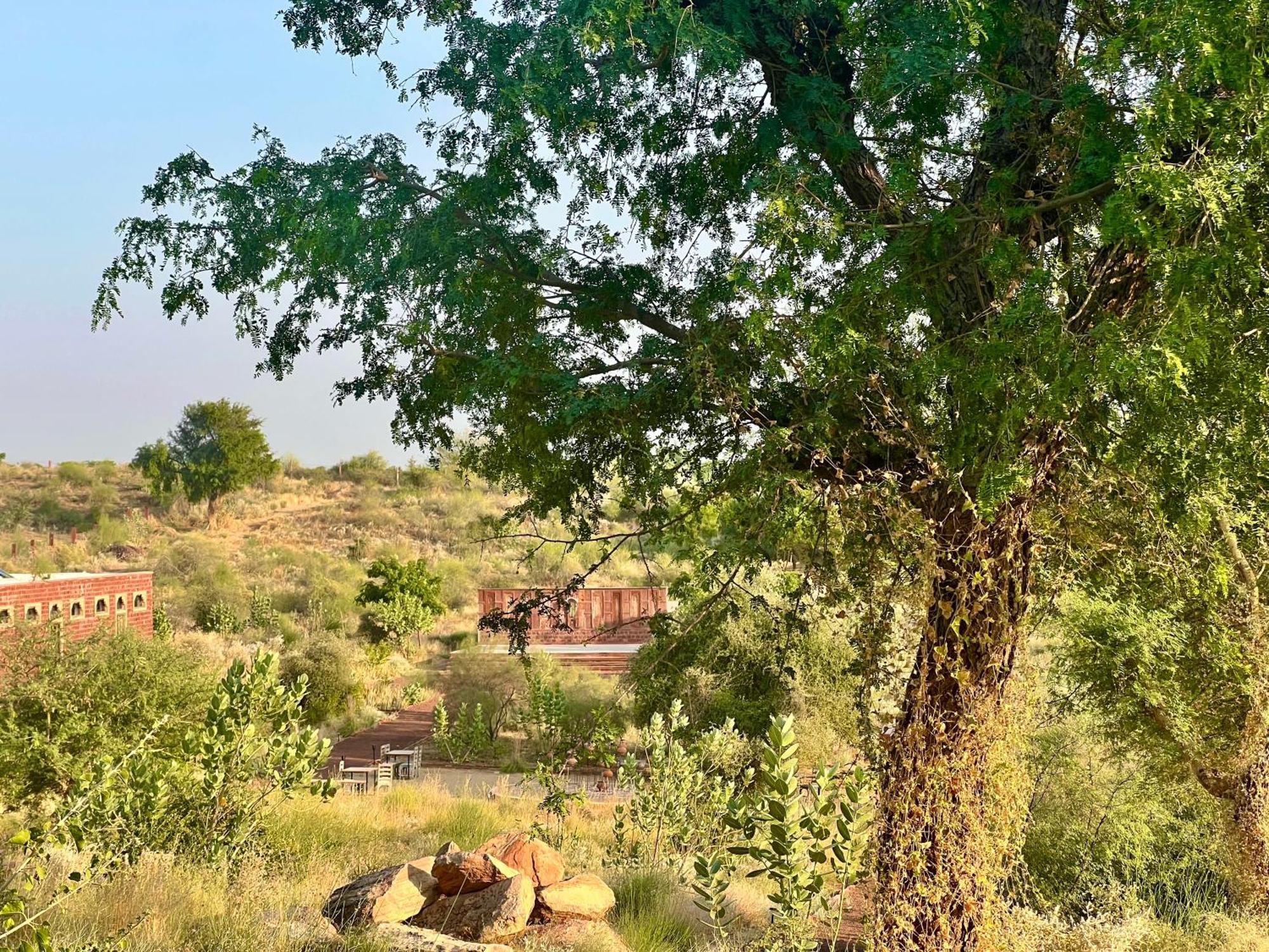 Shaitrāwa Kaner Retreat - India'S First Desert Botanical Resort מראה חיצוני תמונה